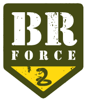 Logo BR Force